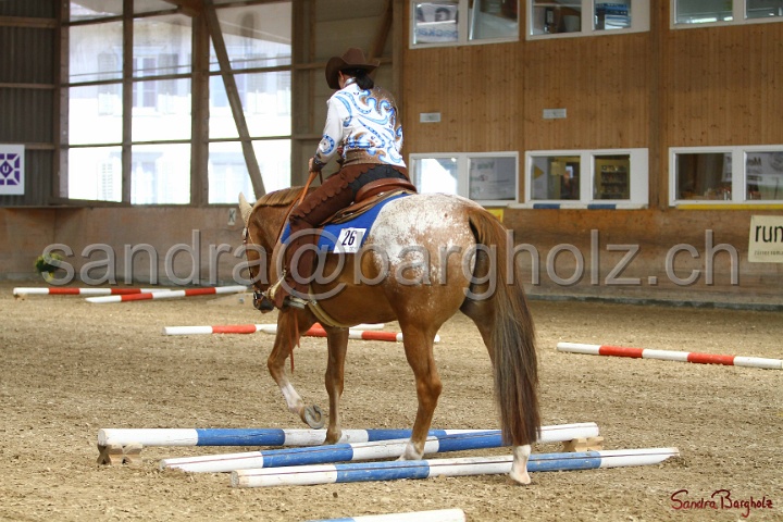 26-ApHC GT_181.jpg